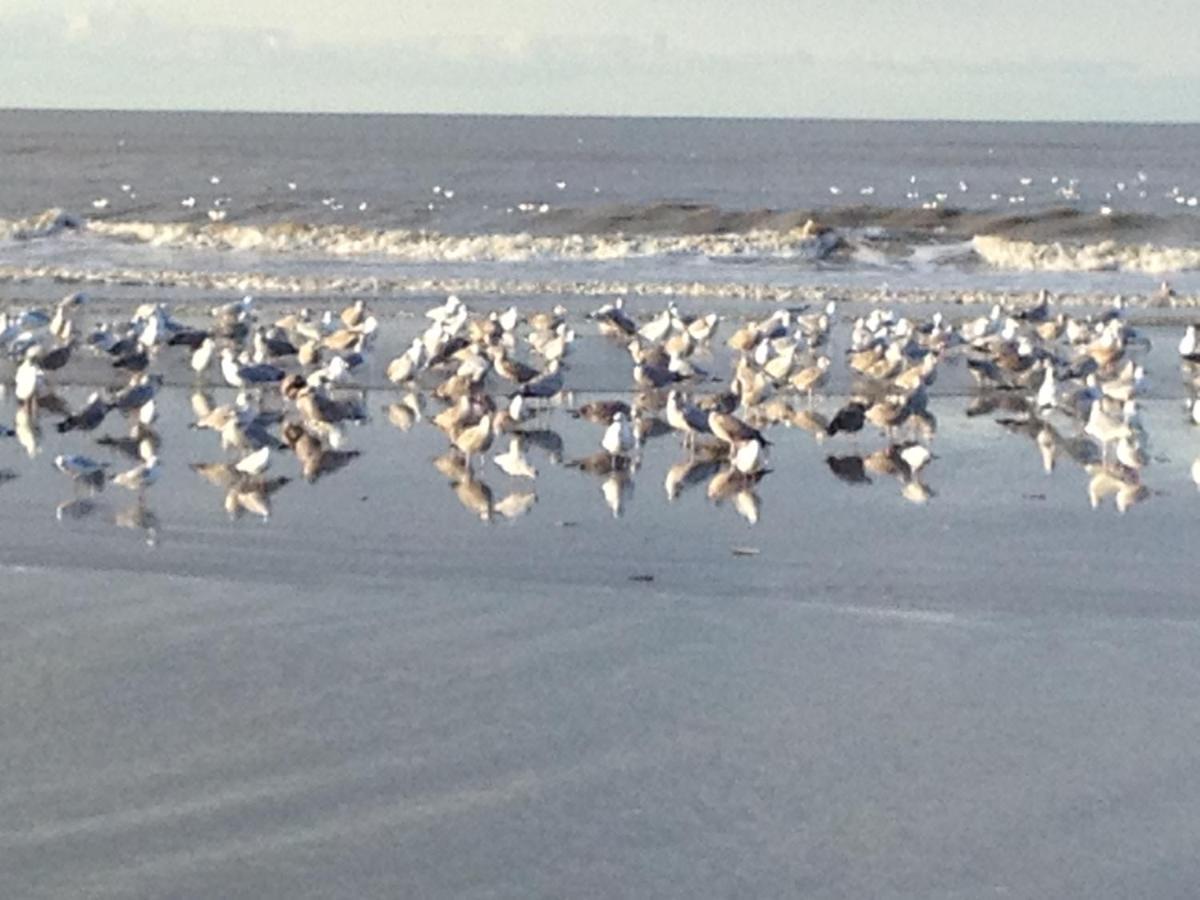 Strand En Meer Katwijk aan Zee Exterior photo